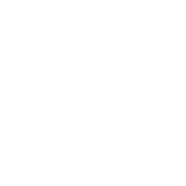 New MV Logo