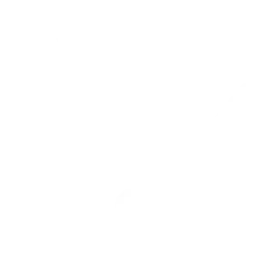 Martin Vondruska's Logo MV White